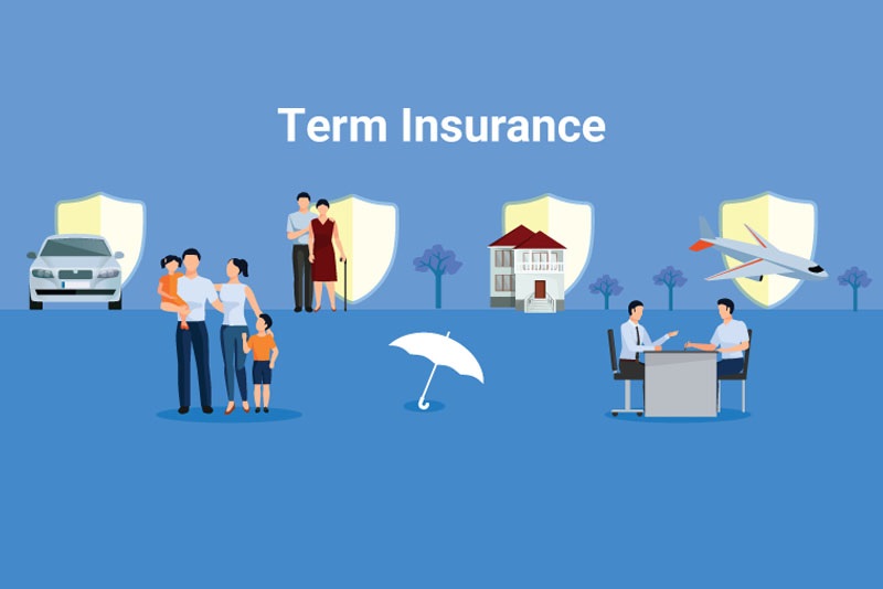 Best Term Insurance